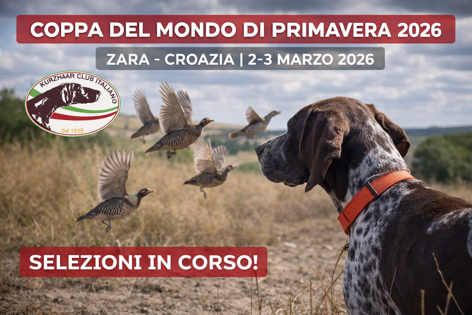 Coppa del Mondo di Primavera 2026 Selezioni Kurzhaar Club Italiano